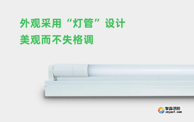 泰和安消防應急照明燈具燈管