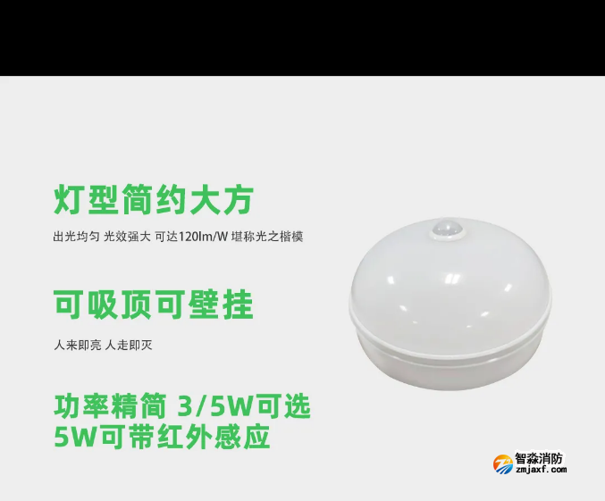 泰和安消防應急照明燈具吸頂燈